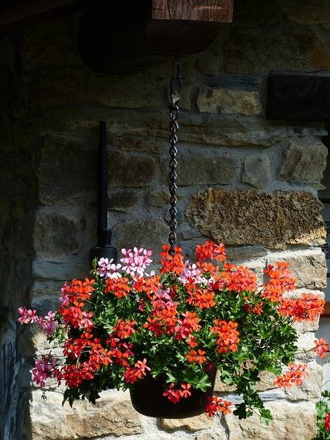 Comment transformer votre balcon ou votre terrasse en jardin urbain
