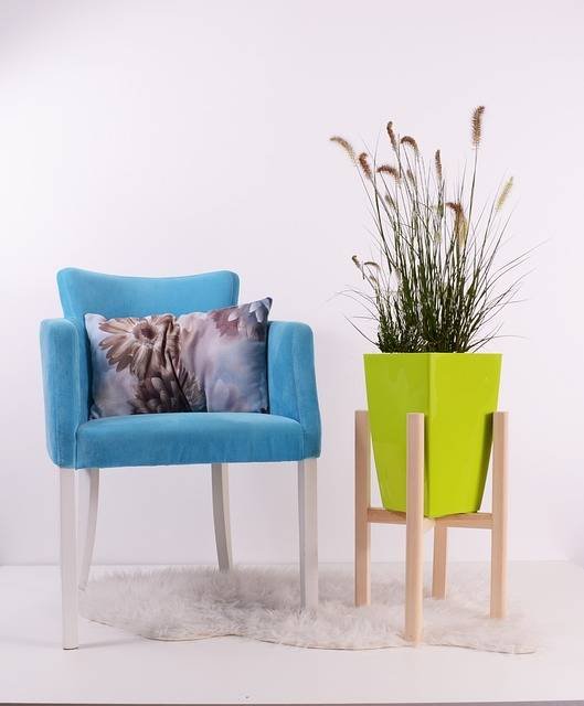 Les meilleures plantes d'intérieur pour votre appartement
